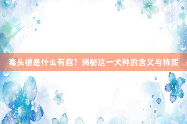 毒头梗是什么有趣?揭秘这一犬种的含义与特质